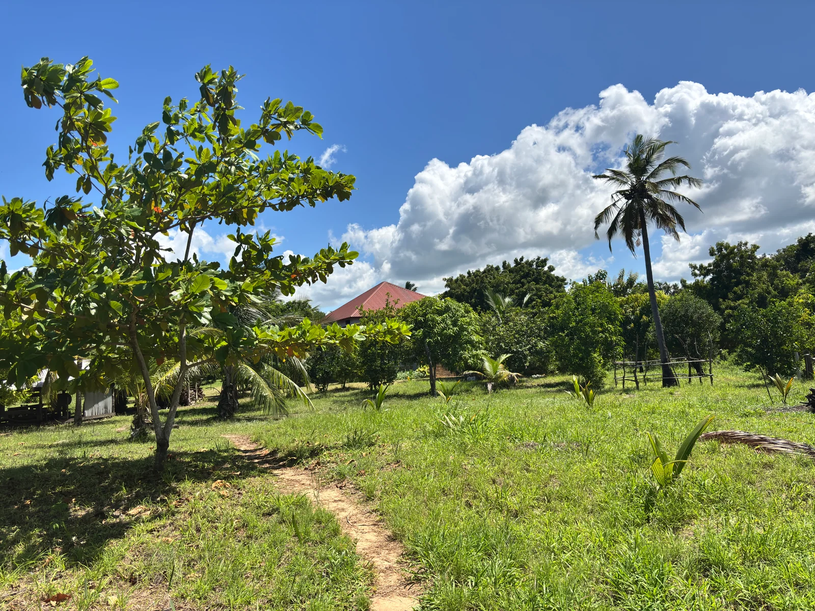 Green garden path around the Bomagawani property