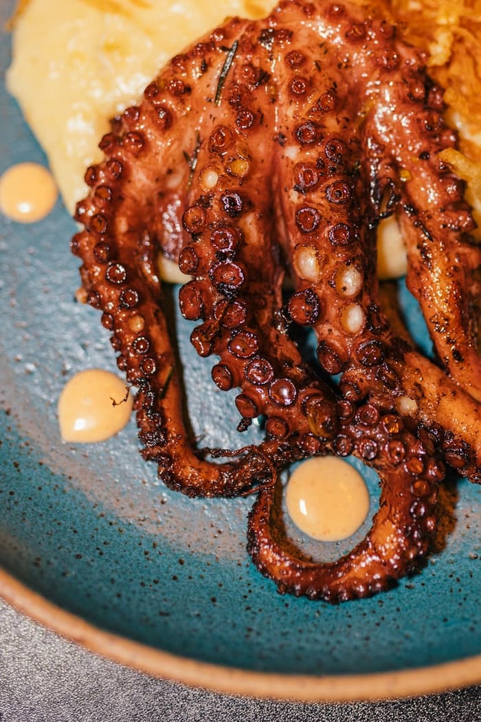 Grilled octopus prepared with sauce